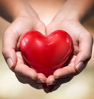 Heart to Give - Oakdale Brook Urgent Cause